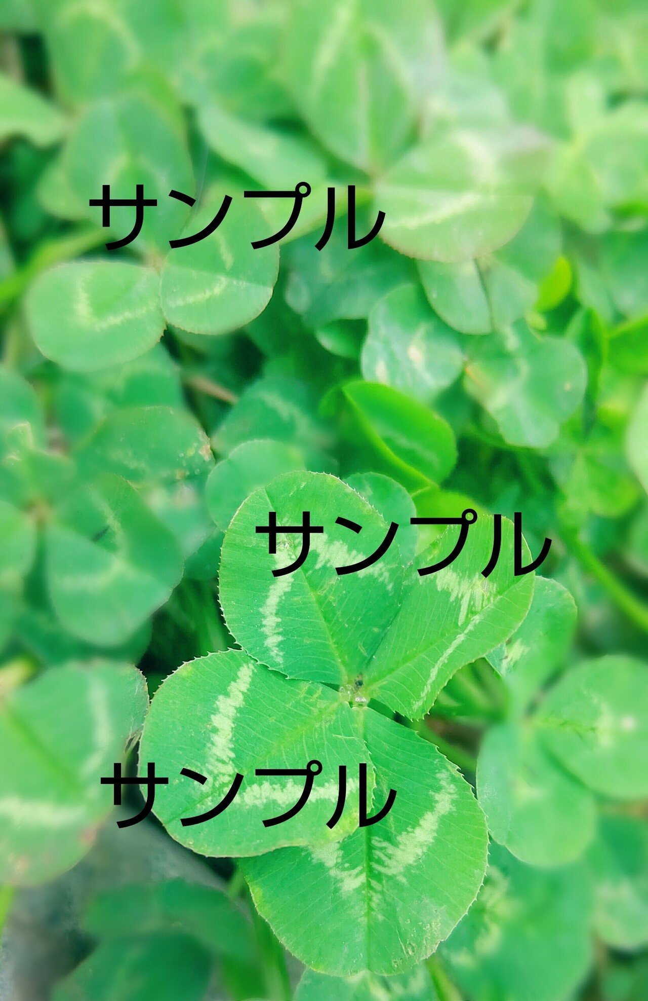 ハッピーラッキー拡大 大開運エネルギーフォト アファメーション 魔法の呪文 つき サラ Note