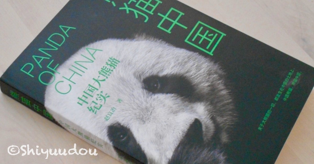※【入手困難】中国建国70周年記念/ ジャイアントパンダ /コイン＆切手セット/ 入手困難】中国建国70周年記念/ ジャイアントパンダ /コイン