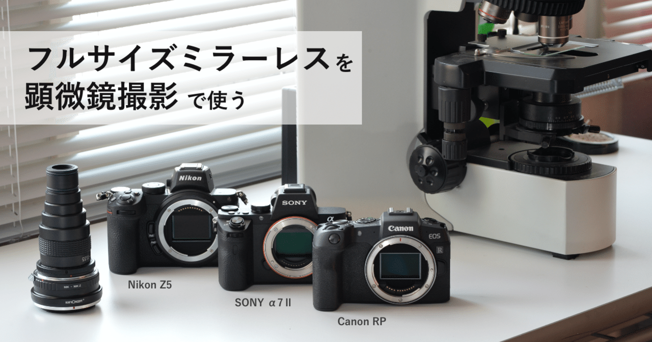 フルサイズミラーレス比較 顕微鏡撮影に使うなら マイクロネット実験室 Note