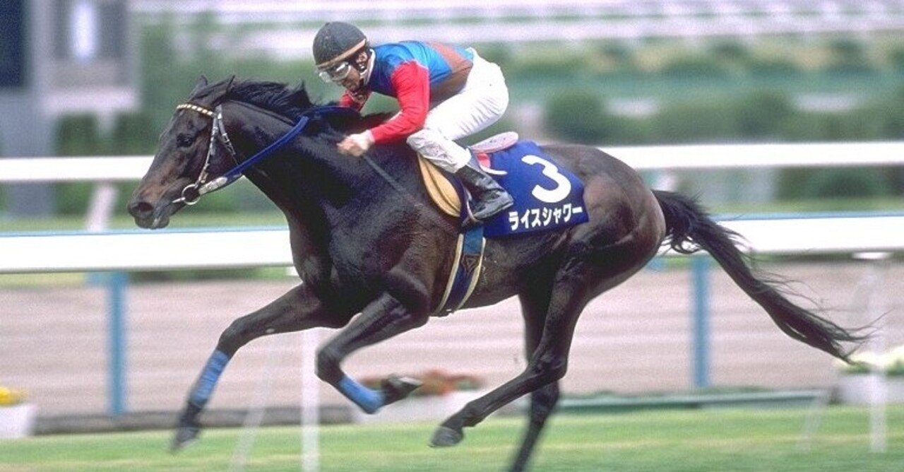 【メーカー直売】 競走馬 写真集 限定保存版 駆けた 天へ ライスシャワー コレクション