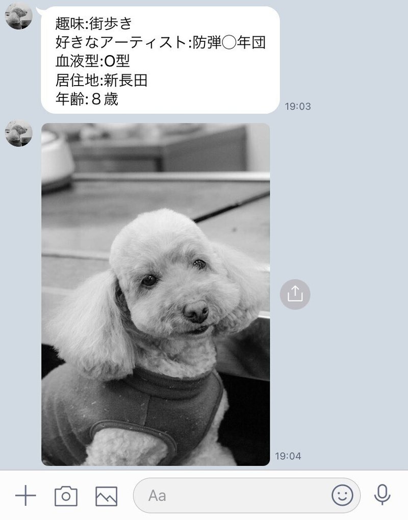 看板犬 こなの気持ち Focus On Shin Nagata Note