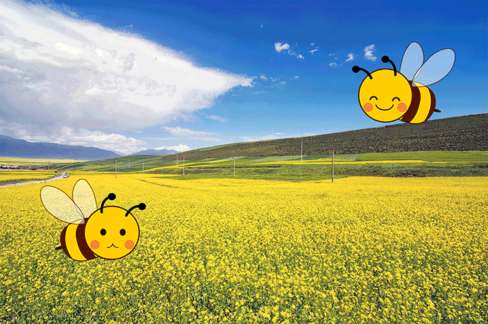 Gifアニメに夢中なのかな 海丸ミチ Note