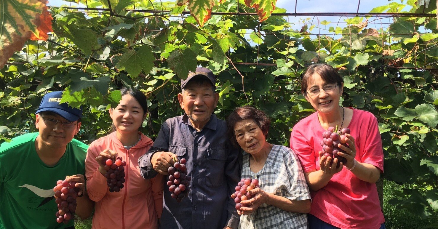 ぶどう用語集 写真付き 戸田ぶどう学校 Note