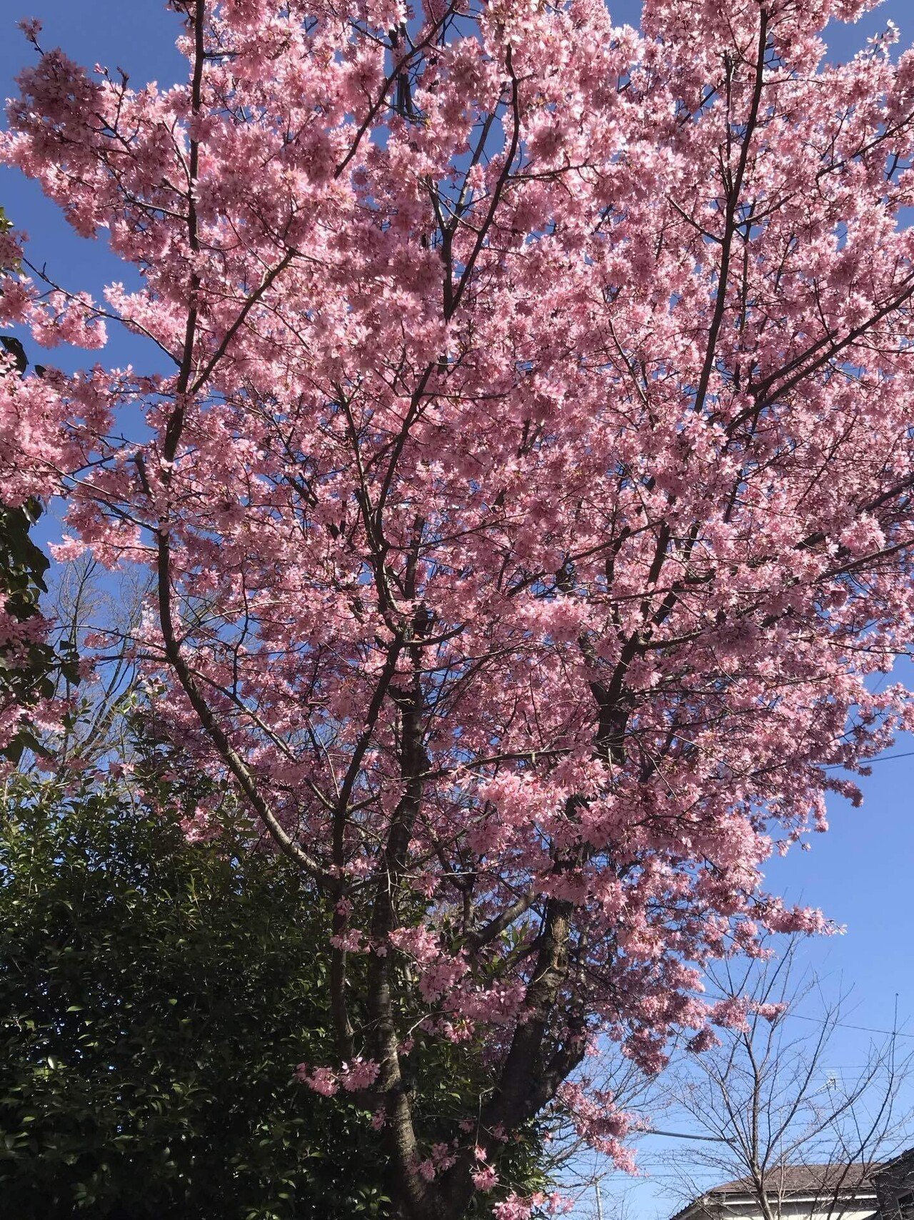 琵琶湖をゆく 宇呂草見 Note