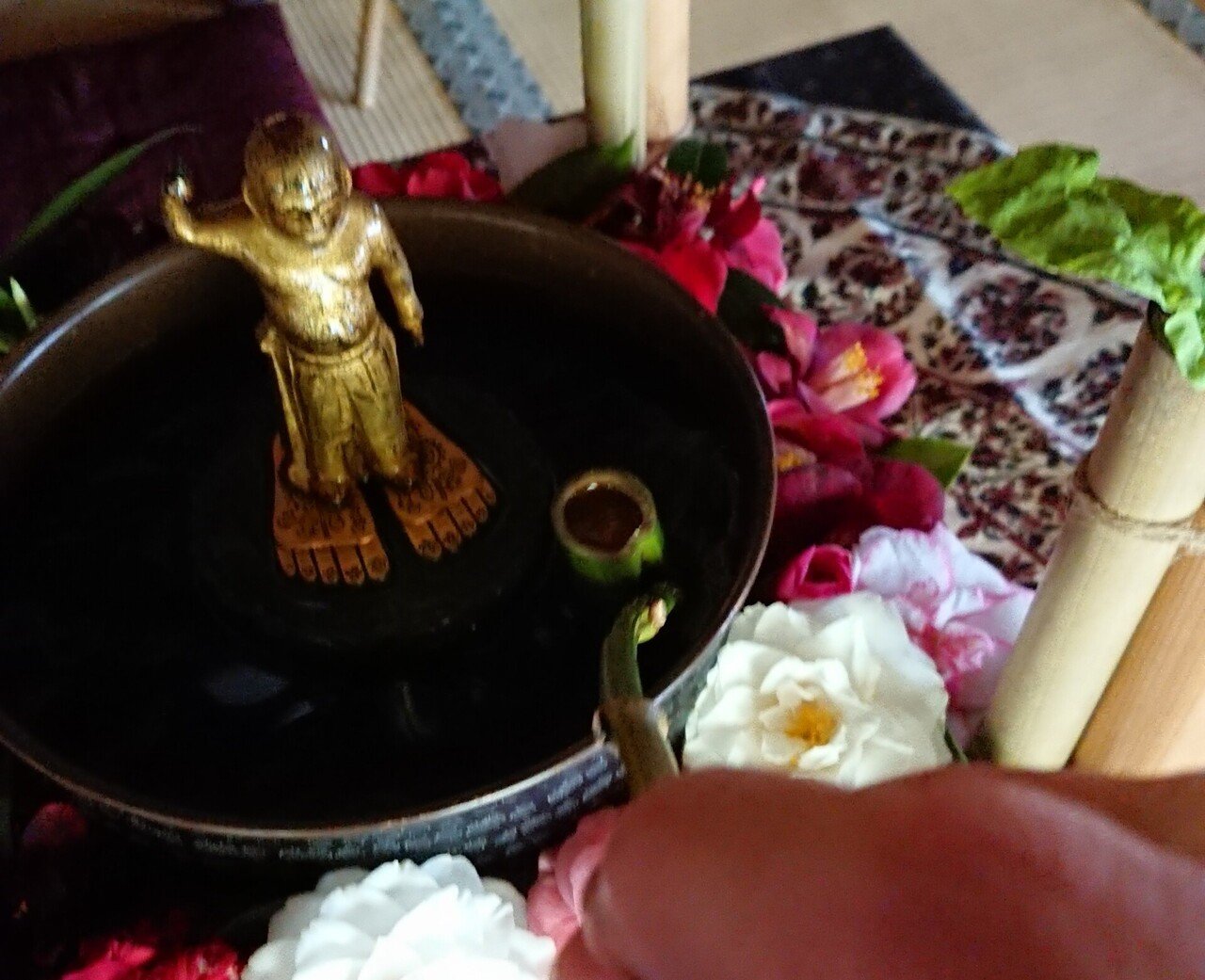 花まつり 降誕会 ごうたんえ 北鎌倉の５つのお寺へ Noly Note