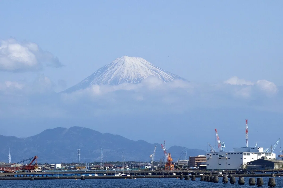 画像8
