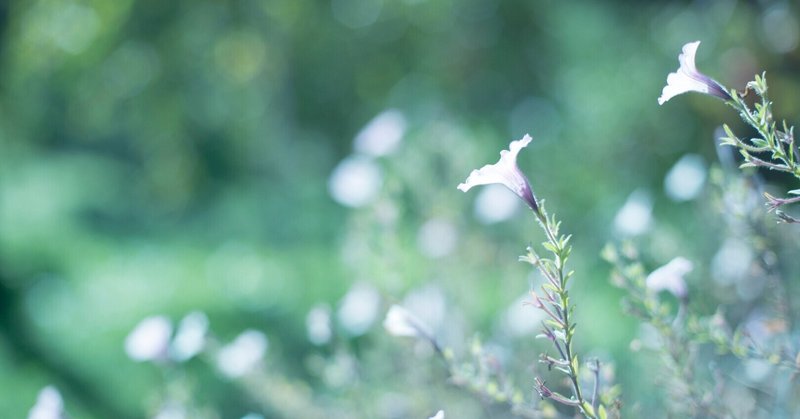 たった５分の自分を大切にする時間