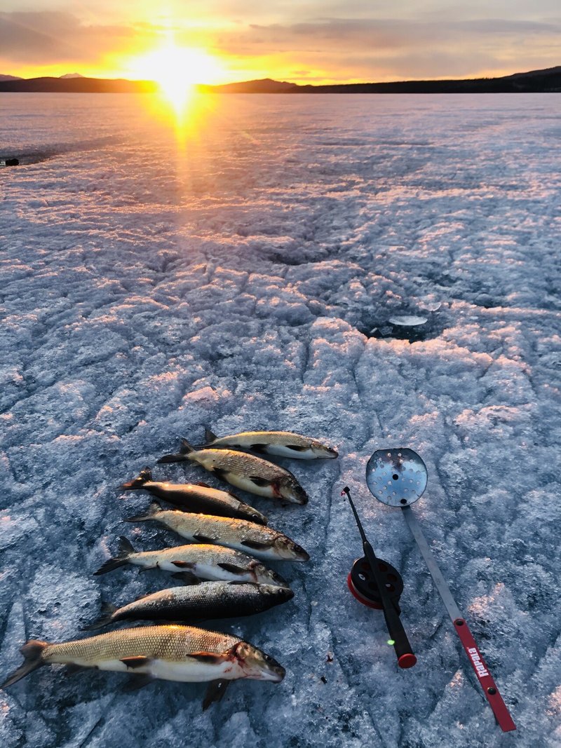 凍った湖で 釣りをしながら春を待つ Tomohiro Uemura Tnt Nature Connections Note 凍った湖で 釣りをしながら春を待つ Tomohiro Uemura Tnt Nature Connections Note