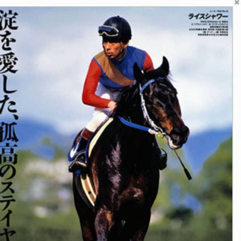 ウマ娘 で一番報われてる競走馬はライスシャワー説 ユスケ Note ウマ娘 で一番報われてる競走馬はライスシャワー説 ユスケ Note
