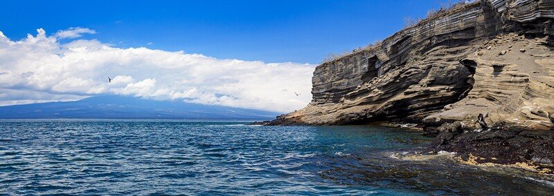 待て しかして希望せよ 福岡伸一 Note