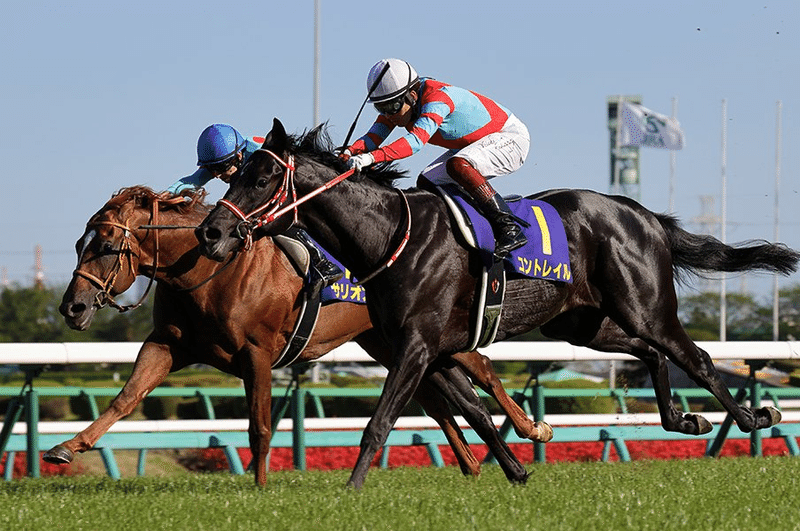 ウマ娘化されていない名馬列伝 桜花賞特集 競馬ep 5 投げ銭式 De L 個人投資家 フリーランス 学生 Note ウマ娘化されていない名馬列伝 桜花賞特集 競馬ep 5 投げ銭式 De L 個人投資家 フリーランス 学生 Note