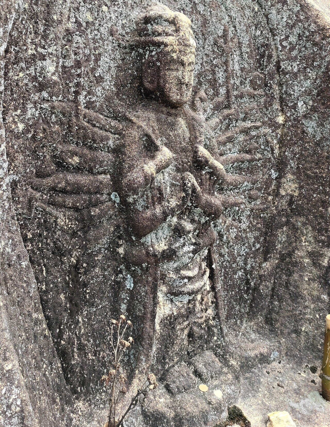 石山観音公園 前編｜かえる