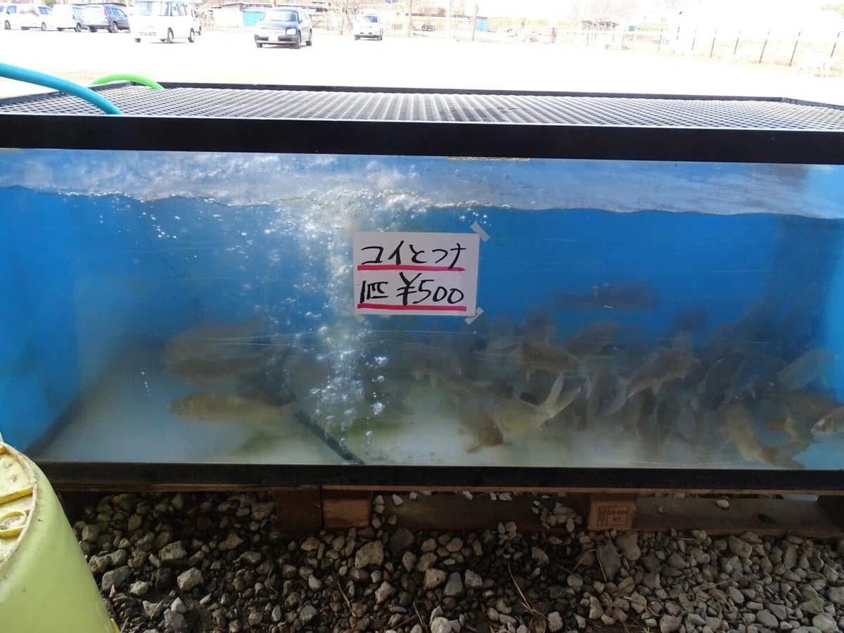画像14