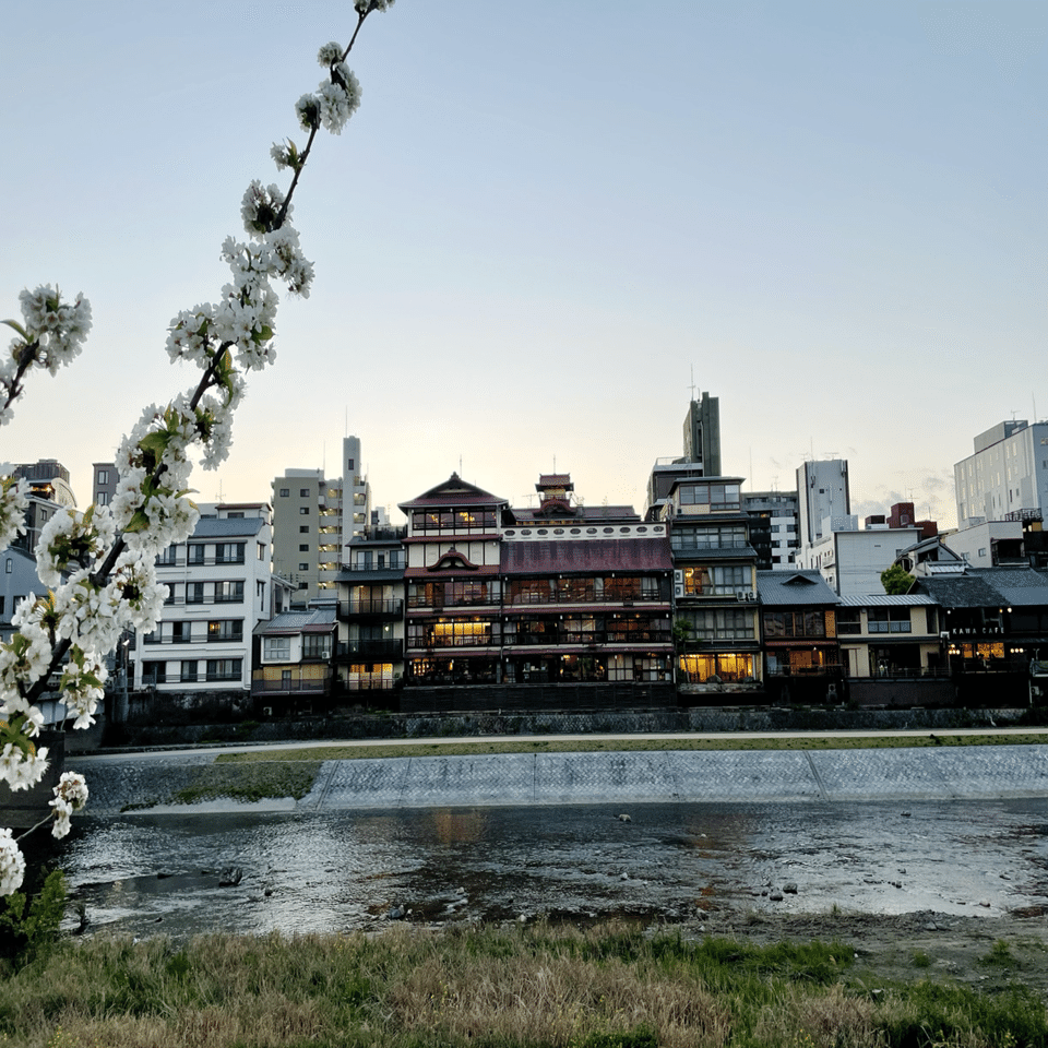 京都の休日 17 鴨川沿いの京フレンチで 春 をいただきました Mana まな 旅と日々 Note