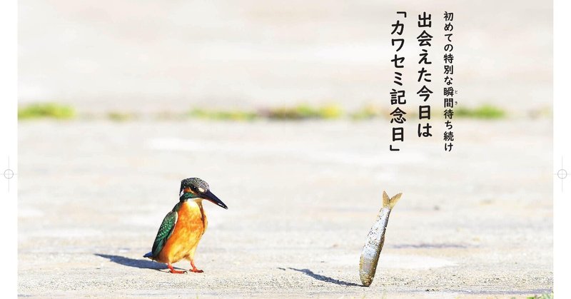 空飛ぶ宝石 と呼ばれるカワセミってどんな鳥 カンゼン Note