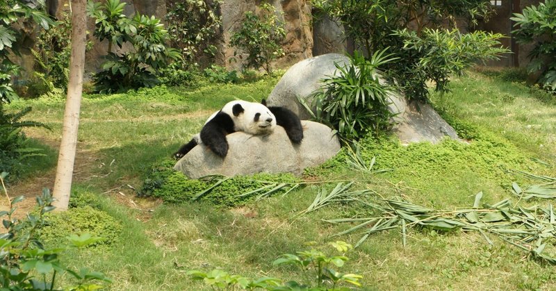 お仕事編 意外と知らない動物園のお仕事について さび抜きちゃん Note お仕事編 意外と知らない動物園のお仕事について さび抜きちゃん Note