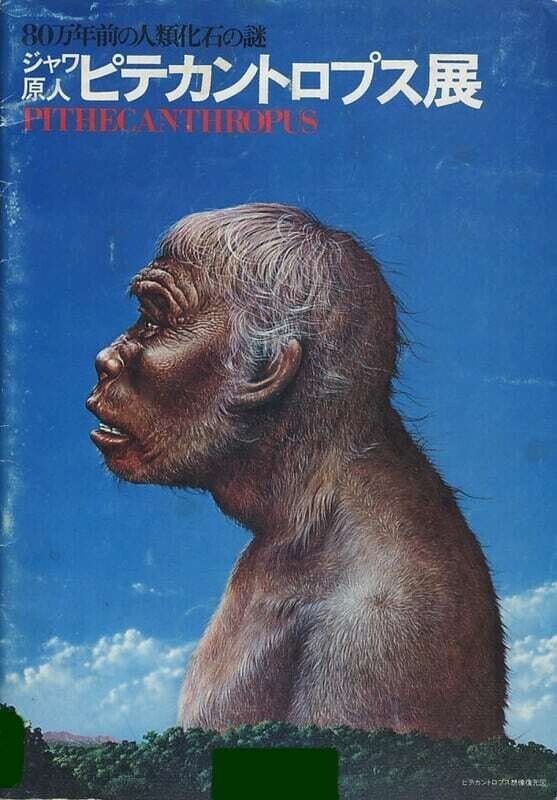 さよなら人類 ピテカントロプスになる日も近づいたんだよー Twenty Alcatraz 16万pv達成 Note