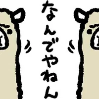 少林サッカー 台本 Allesoverzwangerschap Nl