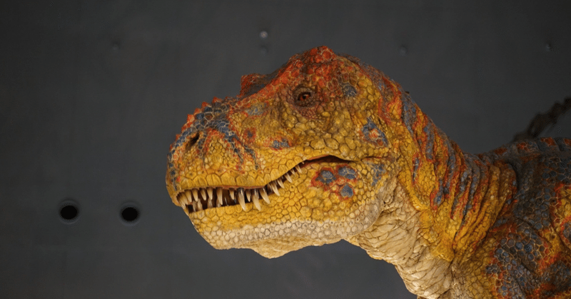 福井 おしゃんな食事処 ゆい Note