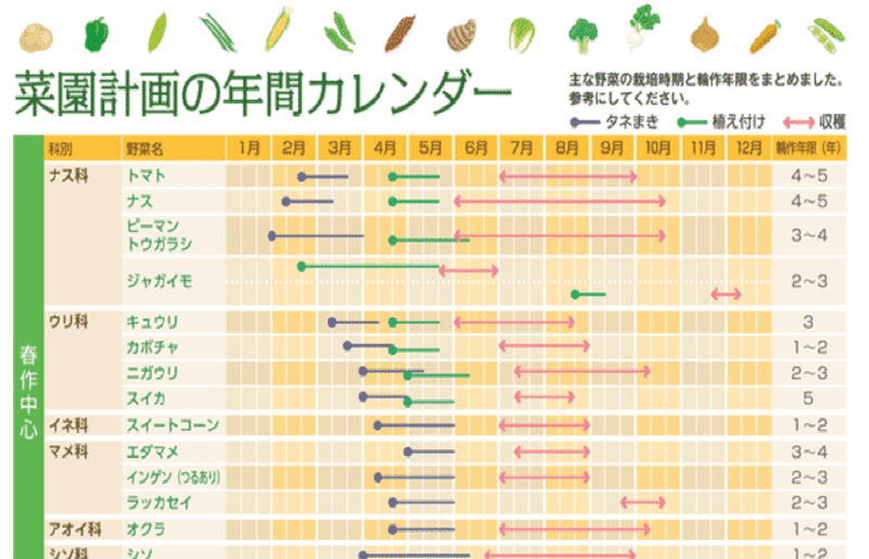 家庭菜園を始める人必見 作付計画の５つのポイント 錬金術師の家庭菜園 Note