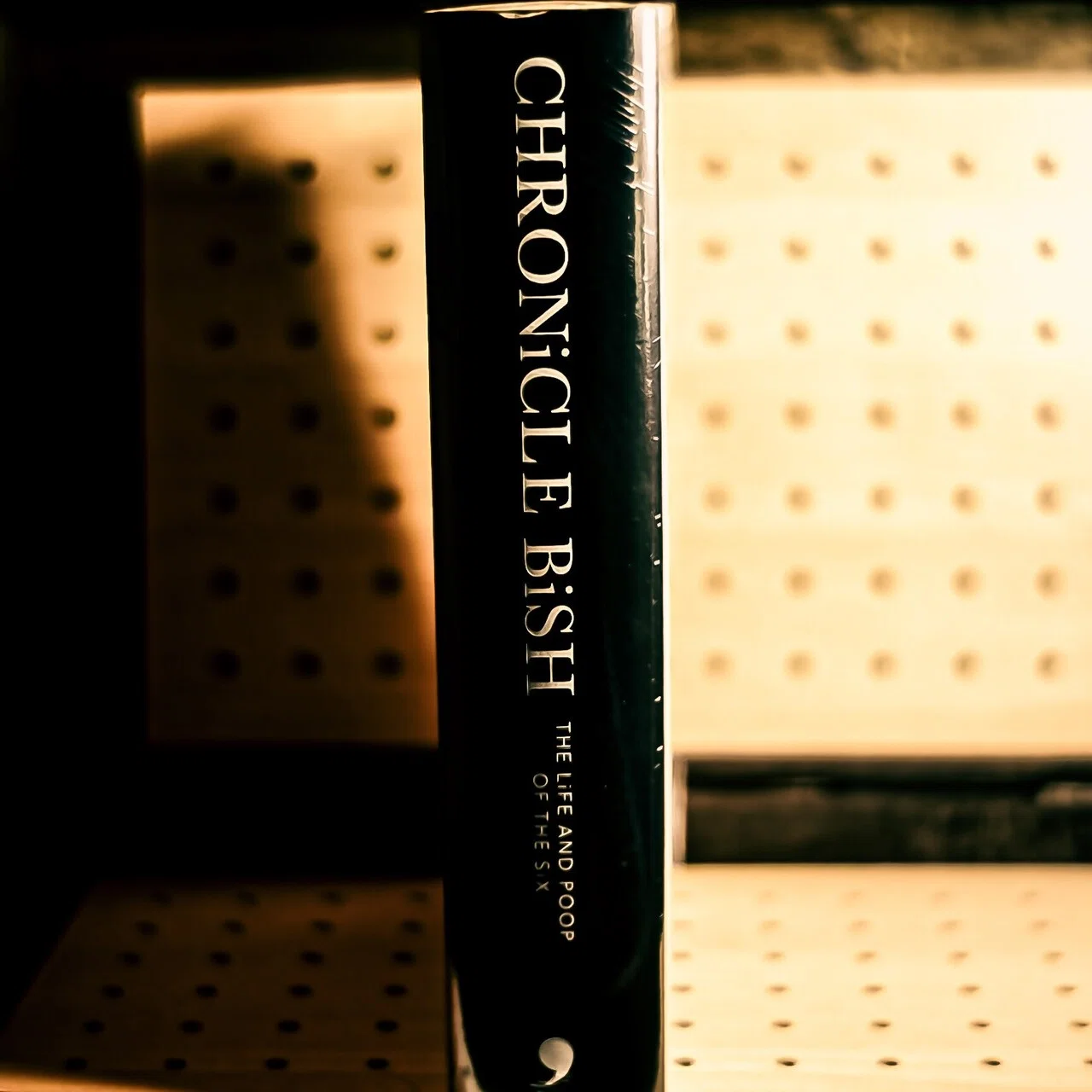 もはや聖書⁉︎ BiSH『CHRONiCLE BiSH』”サイン入り本”が届いた♫|書店 もはや聖書⁉︎ BiSH『CHRONiCLE BiSH』”サイン入り本”が届いた♫|書店