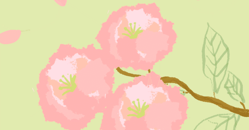 今日のイラスト「八重桜」描きました