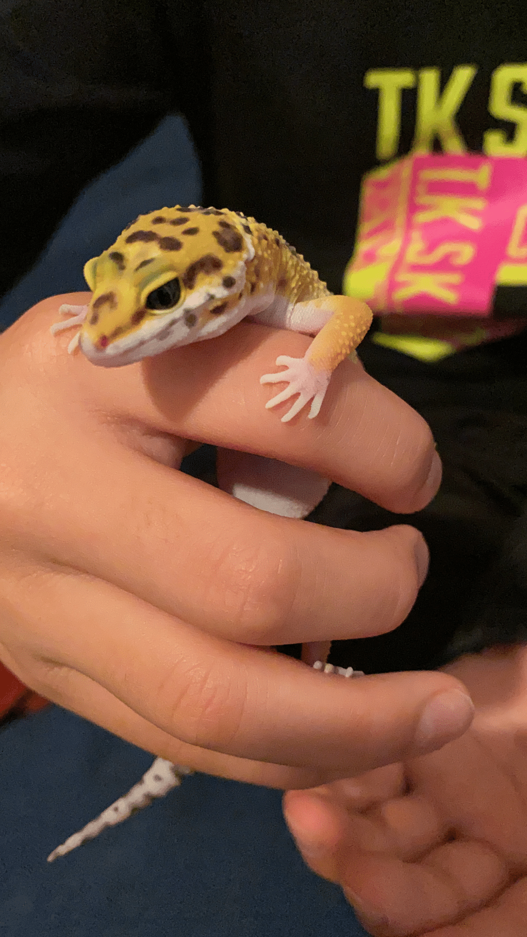 Na ４人兄弟育児なうの21年のノート Note