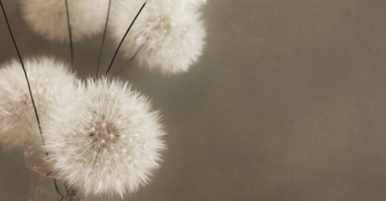 今年も たんぽぽ綿毛のドライフラワーをつくる 旦 Note 今年も たんぽぽ綿毛のドライフラワーをつくる 旦 Note