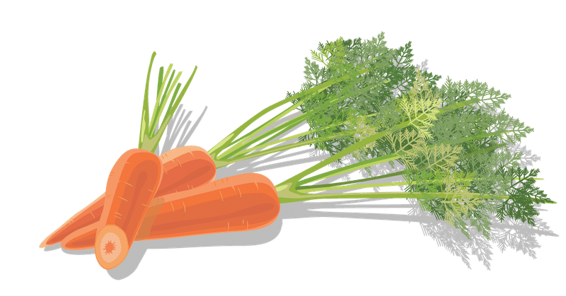 37今日の みんなのフォトギャラリー用 素材 野菜編 にんじん Air Mezzanine Note