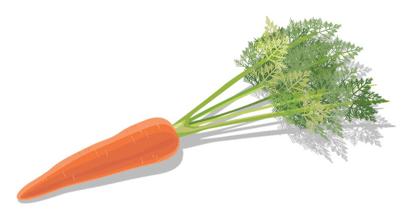 37今日の みんなのフォトギャラリー用 素材 野菜編 にんじん Air Mezzanine Note