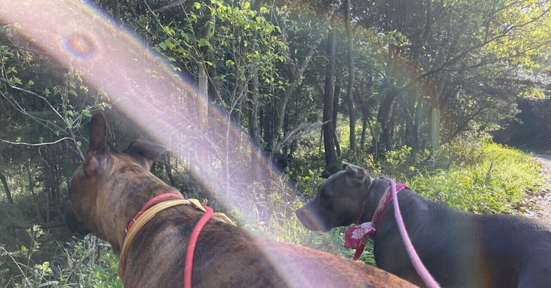 ノーリード の新着タグ記事一覧 Note つくる つながる とどける