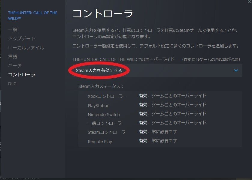 Steamでゲームが突然起動しなくなった まくらもと Note