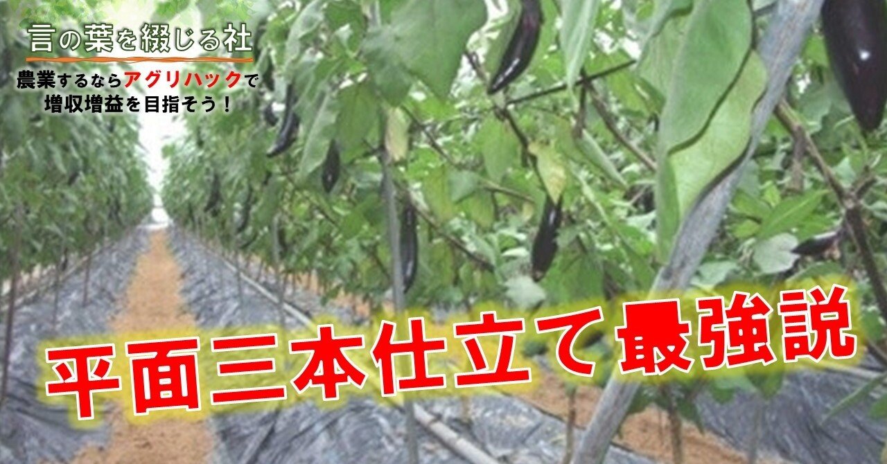 第２９話 アグリハックの具体例 ナスの収穫スピードを考えた仕立て方 鎌田佳秋 言の葉を綴じる杜 Escape Tokyo執行役員 ホワイトアカデミー講師 Note