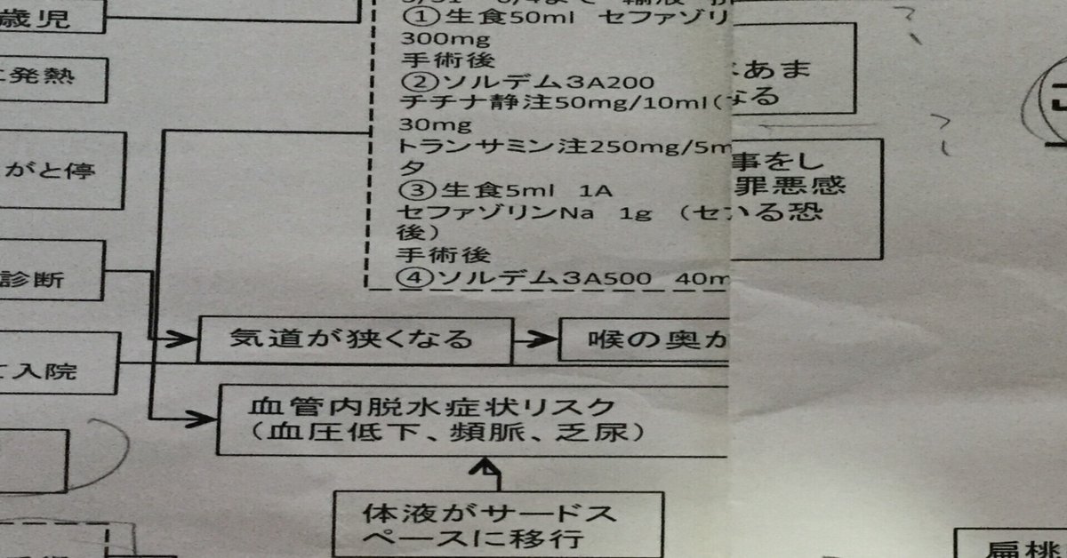 実習記録の書き方がわかる 看護過程展開ガイド 第2版