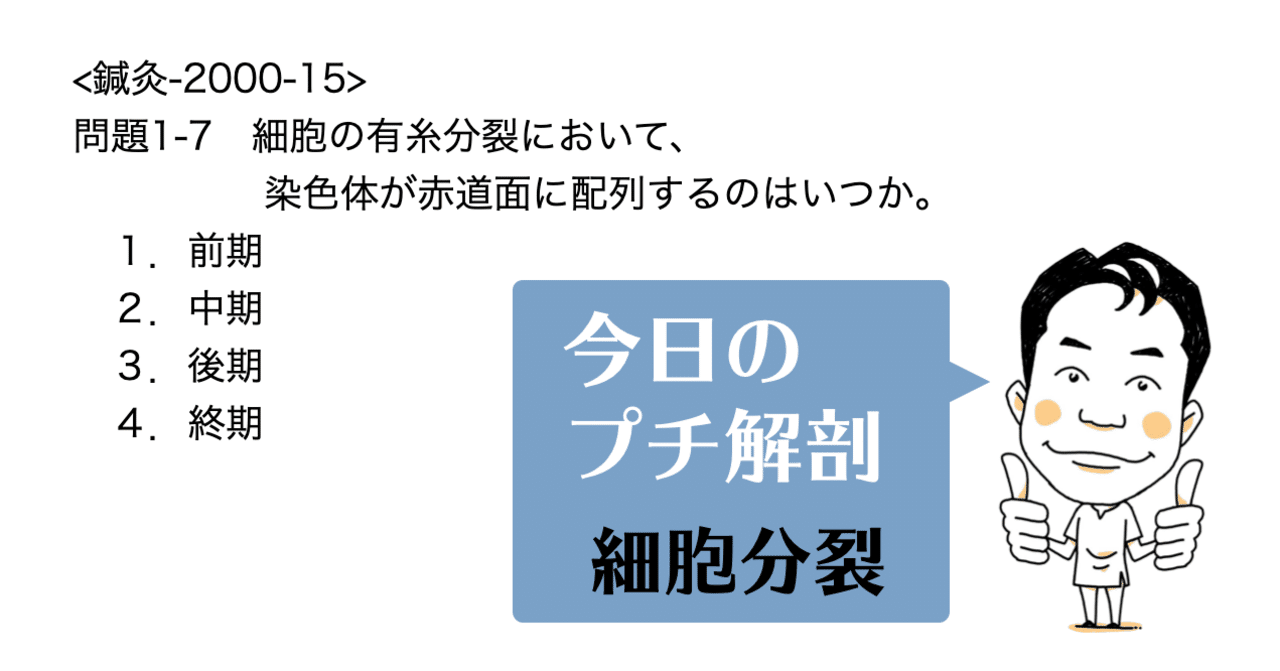 今日のプチ解剖 細胞の有糸分裂において 染色体が赤道面に配列するのはいつ 黒澤一弘 note