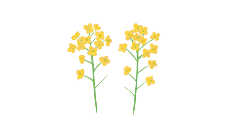 菜の花 のイラスト あや あしあと手帳2 Note 菜の花 のイラスト あや あしあと手帳2 Note