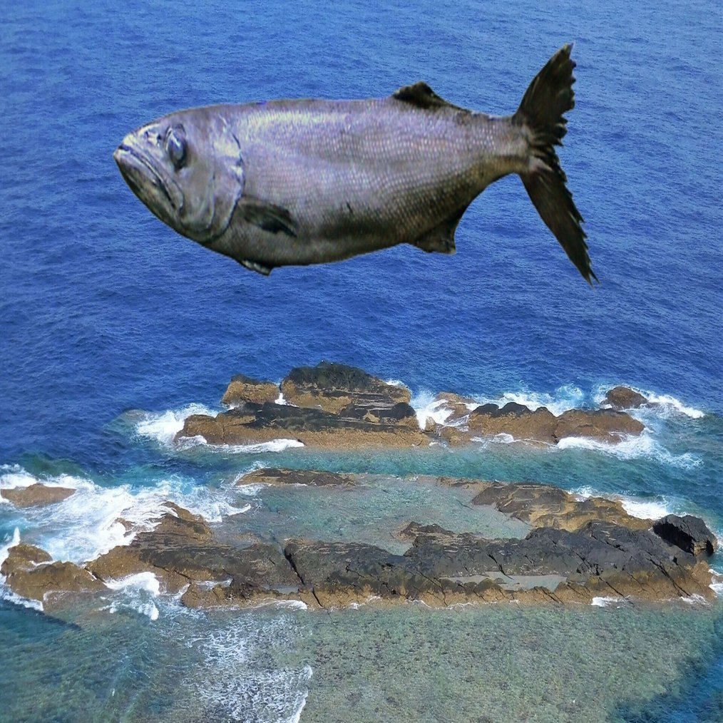 この国の果てとインガンダルマ すっぴ Note