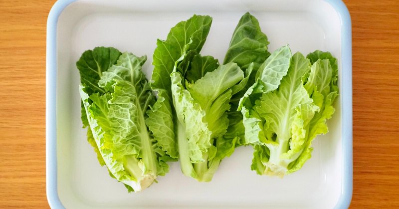 今の時期しか採れない ケールの花芽 を料理してみた そのべゆういち Note 今の時期しか採れない ケールの花芽 を料理してみた そのべゆういち Note