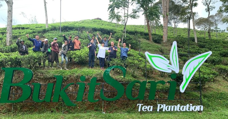 Bukitsari 茶園の歴史