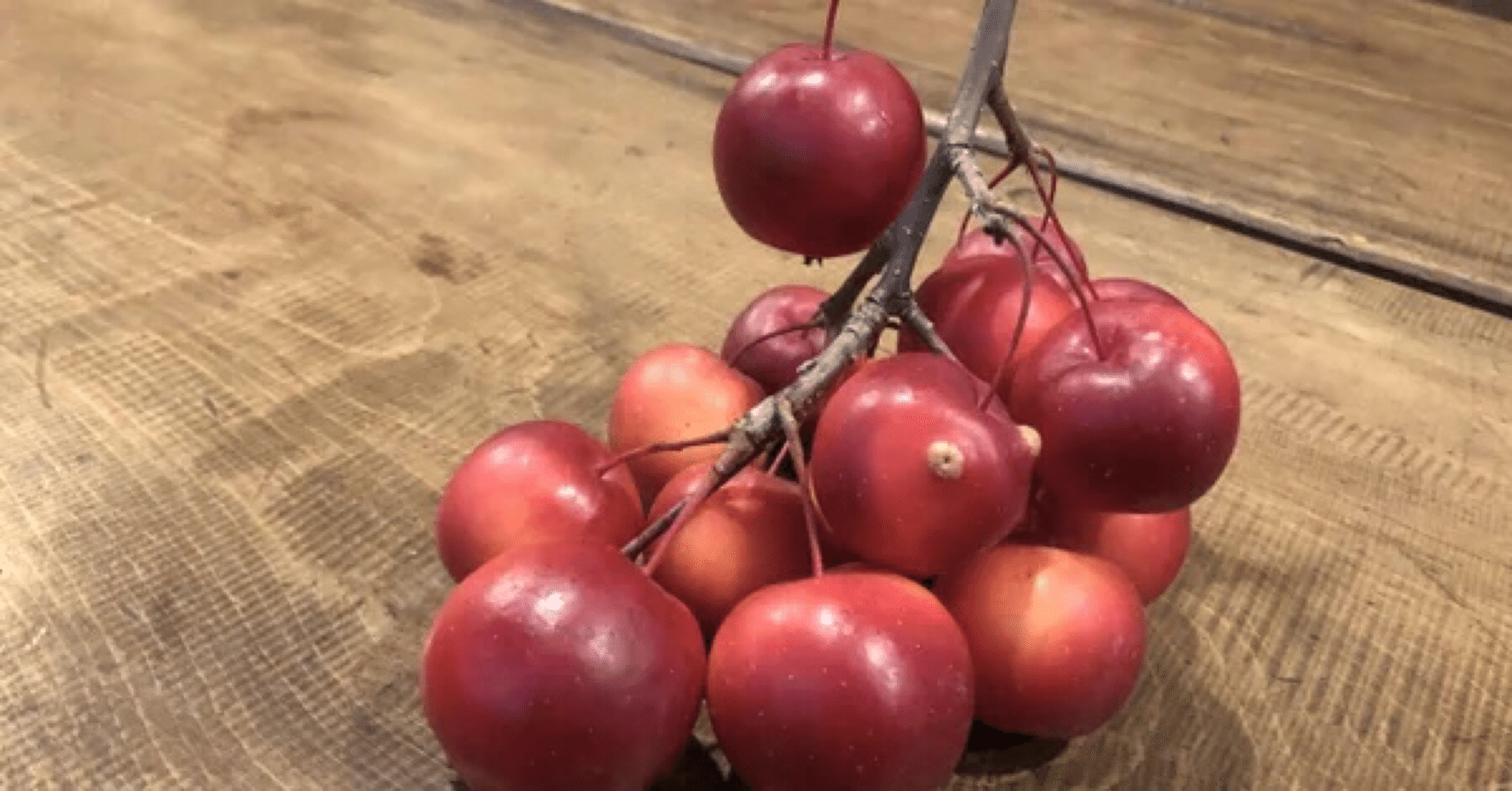 ae0d86513fcfb30d91574cb727ffb8