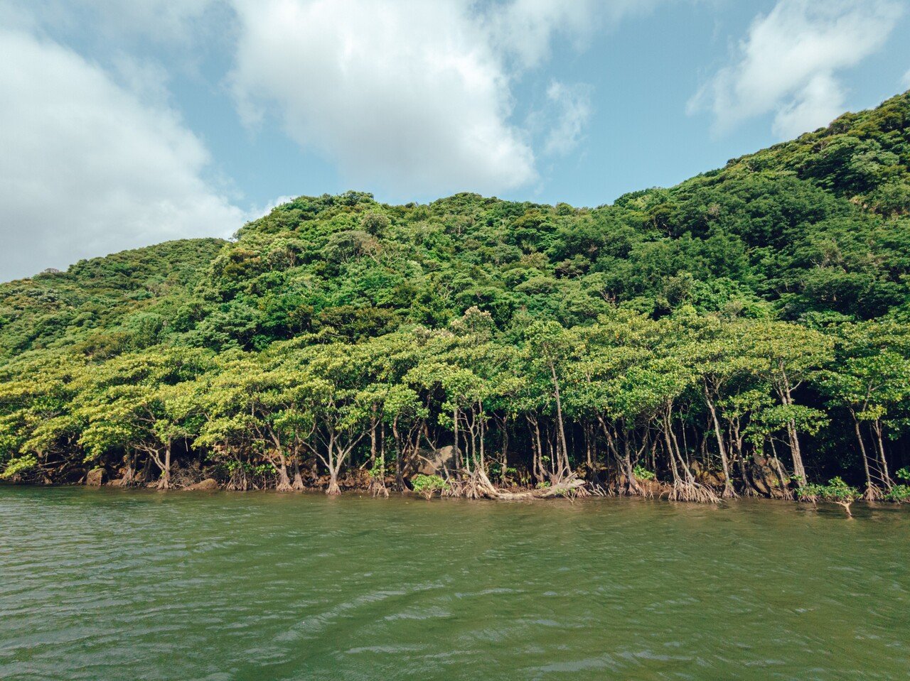 フォトセット】Google Pixel5で撮る沖縄・西表島｜横田 裕市/写真家×編集者