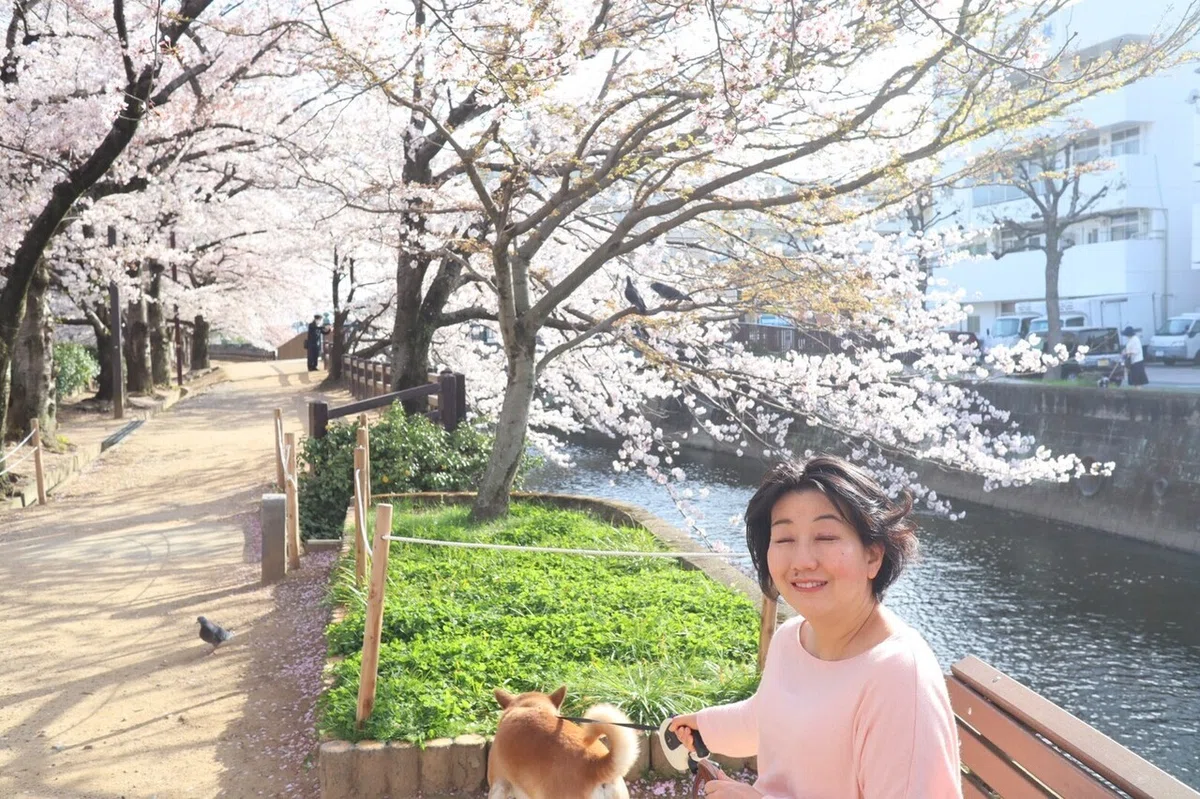 画像1