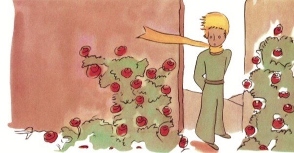 まだ起きたくなかったのに…⭐︎星の王子様の薔薇より❤️✨♪ 大切なことはね、目に見えないことだよ。（火の鳥と星の王子さま2