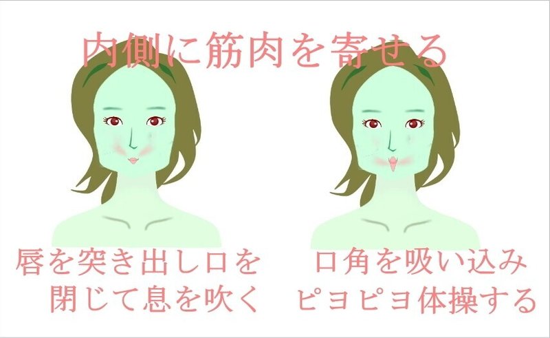 自分で顔の横幅を狭くする方法 マッサージとトレーニング方法 お顔の整体師 戸塚哲春 Note 自分で顔の横幅を狭くする方法 マッサージとトレーニング方法 お顔の整体師 戸塚哲春 Note