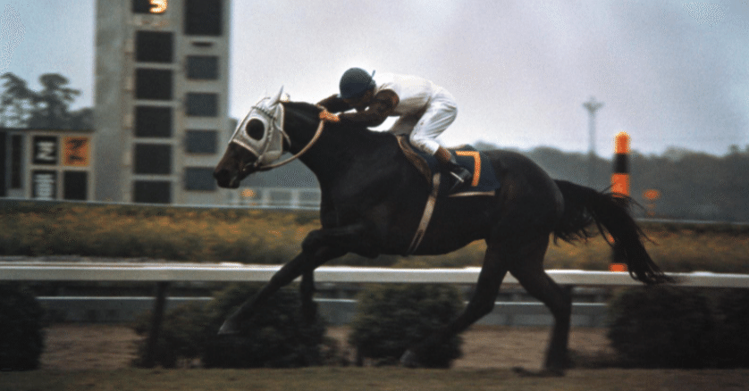 a9a3dd44e892d01a631f007fcbb4ef