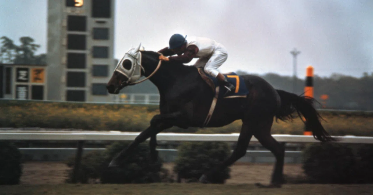ウマ娘になりそうな競走馬解説1：ハイセイコー｜競馬の歴史ブログ/ハリー