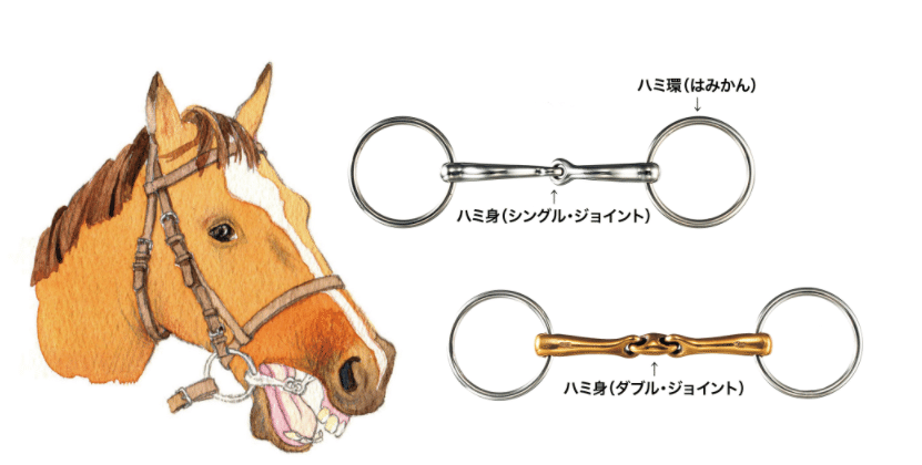 ウマ娘になりそうな競走馬解説1：ハイセイコー｜競馬の歴史ブログ/ハリー