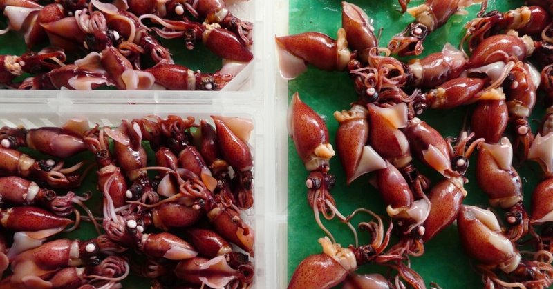 俳句で味はふホタルイカ ゆうき Note