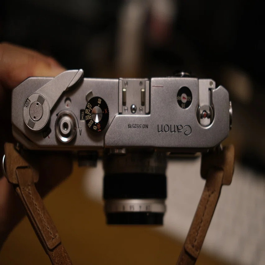 オーバーホールしたCanon L1 でモノクロフィルム（自家現像10本目 
