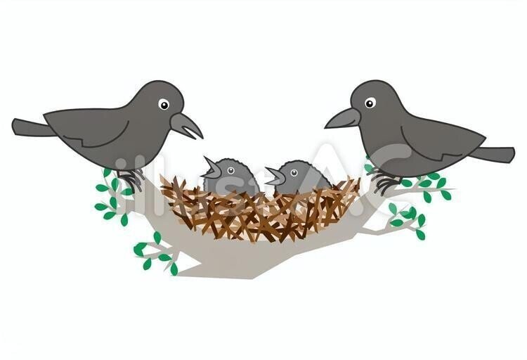 第1548回 色んな鳥の夫婦関係 ⑴｜翆野 大地